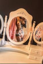 aprilxmontana - escort Toulouse