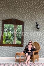 pourgentleman - escort Montpellier