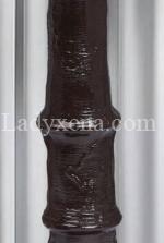 rocio - escort Castres