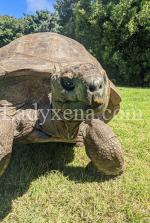 sorciere7isis - escort Strasbourg