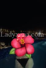 louna310 - escort Toulouse