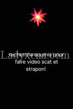 reinef - escort Lille