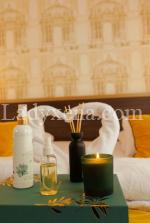 plaisircontrole - escort Versailles