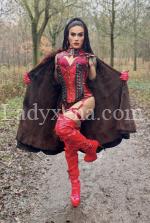 lunatrans14 - escort Rennes