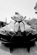 missdiablesse - escort Bordeaux