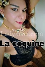 transcoquine - escort Nantes