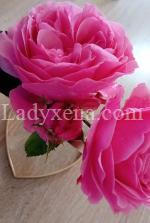 carlita - escort lille